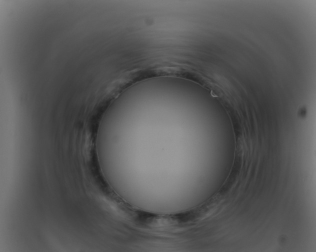 X0000093510223200710121109