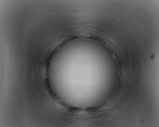 X0000093510224200710121109