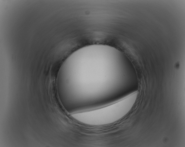 X0000093510225200710121109