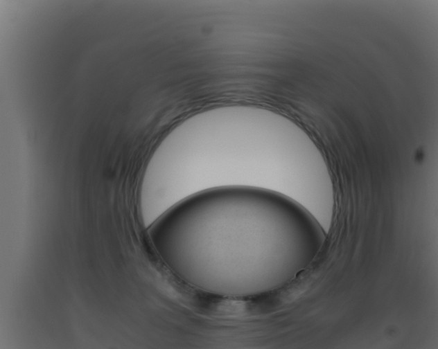 X0000093510227200710121109