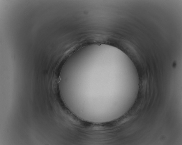 X0000093510228200710121109