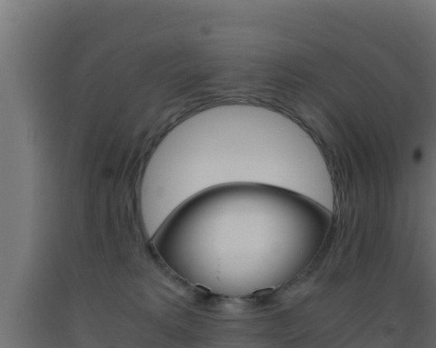 X0000093510229200710121109