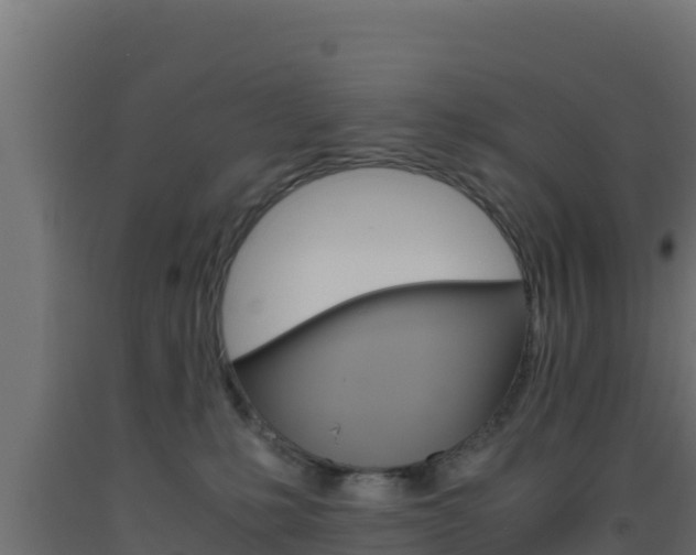 X0000093510231200710121109