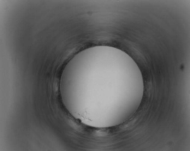 X0000093510232200710121109