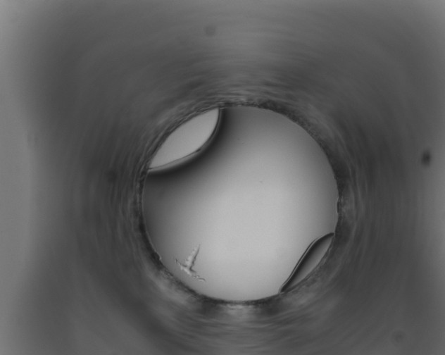 X0000093510233200710121109