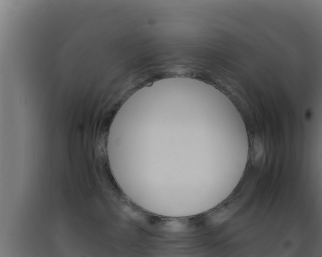 X0000093510236200710121109