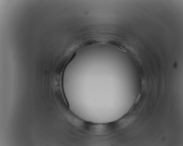 X0000093510237200710121109