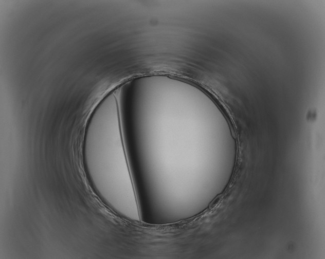 X0000093510241200710121109