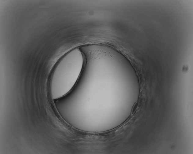 X0000093510242200710121109