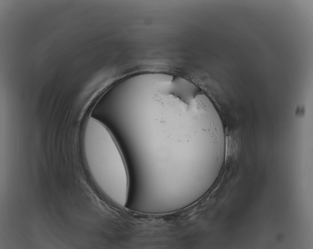 X0000093510243200710121109