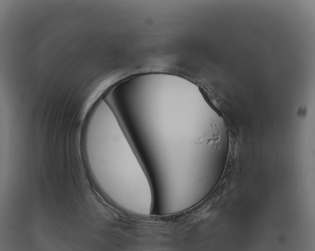 X0000093510244200710121109