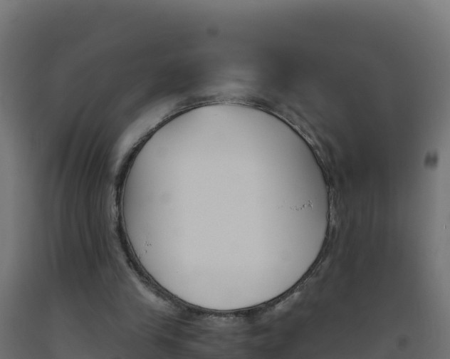X0000093510245200710121109
