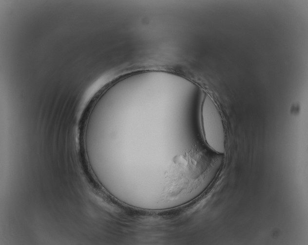 X0000093510246200710121109