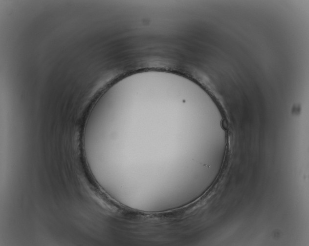 X0000093510249200710121109