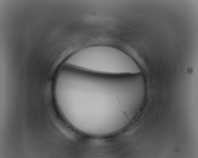 X0000093510250200710121109