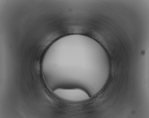 X0000093510251200710121109