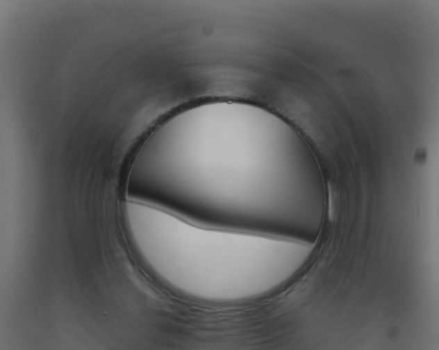 X0000093510252200710121109