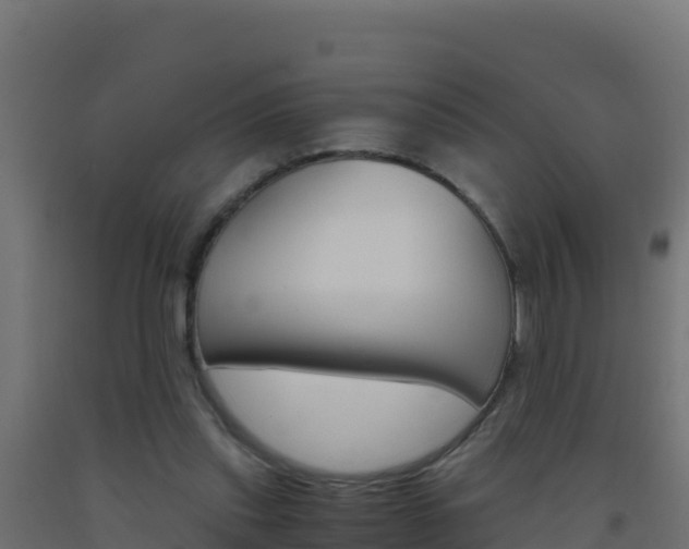 X0000093510253200710121109