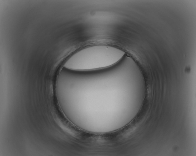 X0000093510254200710121109