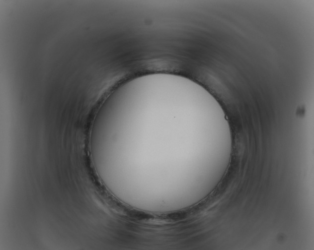 X0000093510255200710121109
