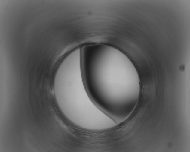 X0000093510256200710121109