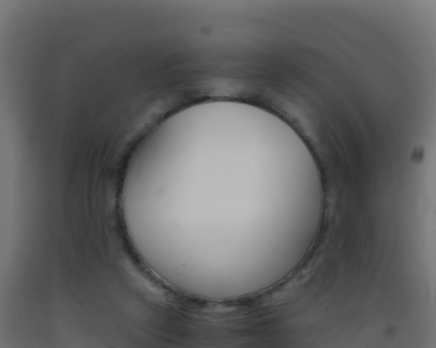 X0000093510257200710121109
