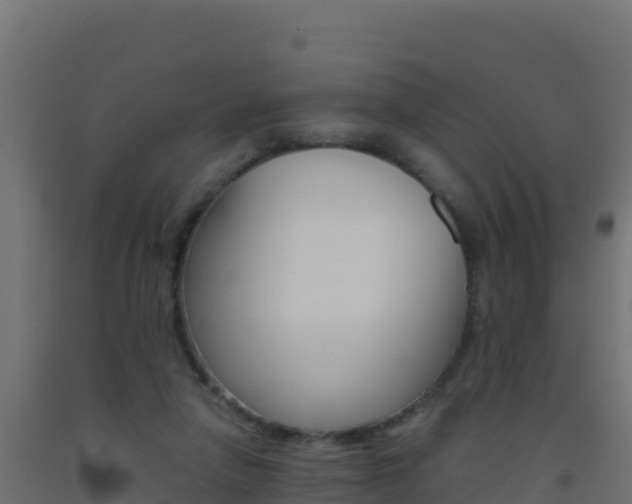 X0000093510258200710121109