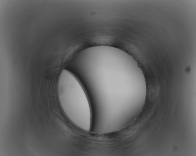 X0000093510259200710121109