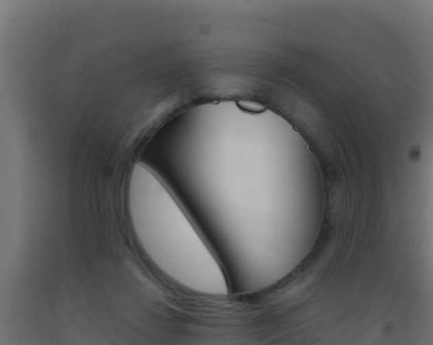 X0000093510260200710121109