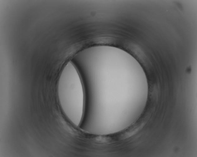 X0000093510261200710121109