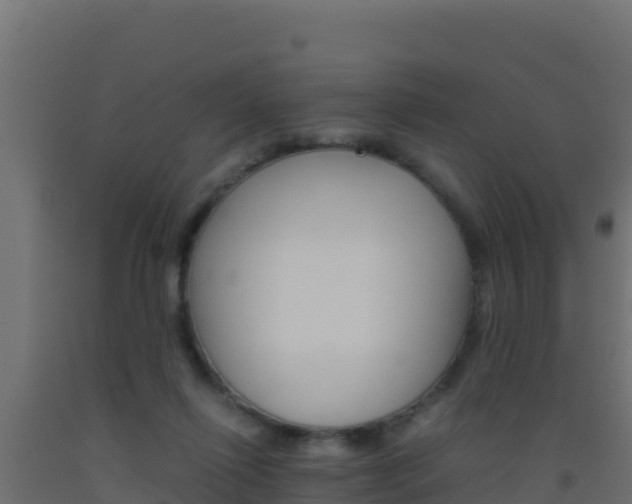 X0000093510262200710121109