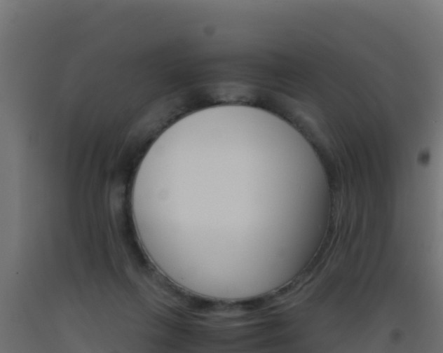 X0000093510263200710121109