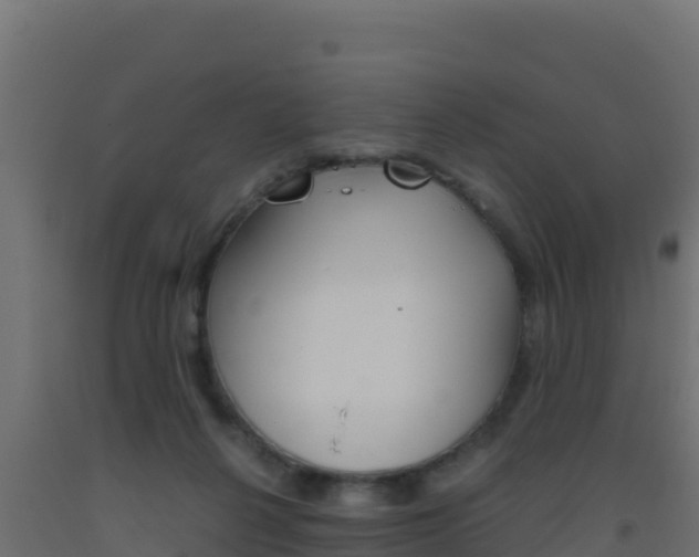 X0000093510264200710121109