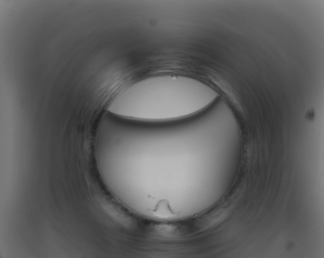 X0000093510265200710121109