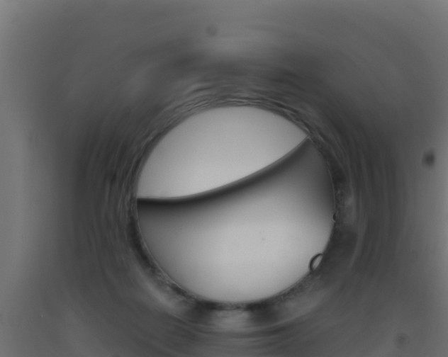X0000093510266200710121109