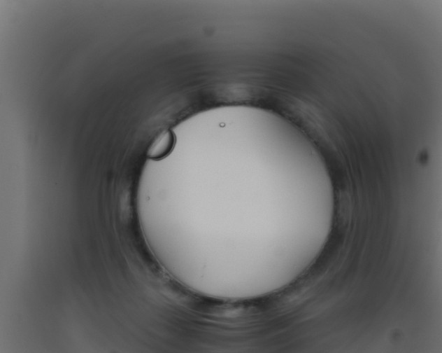 X0000093510267200710121109