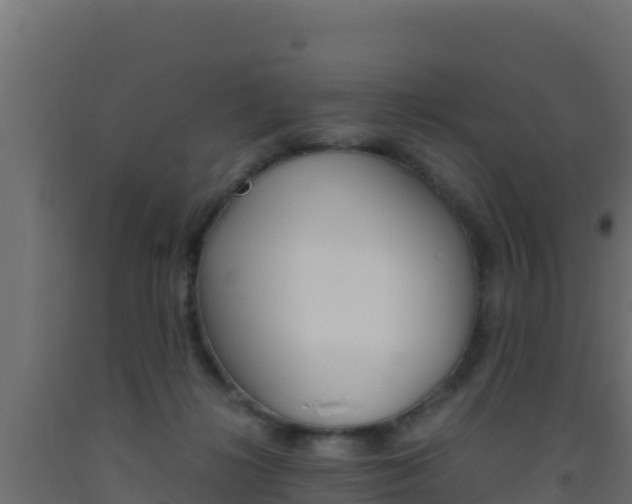 X0000093510268200710121109