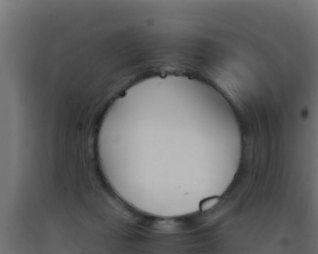 X0000093510269200710121109