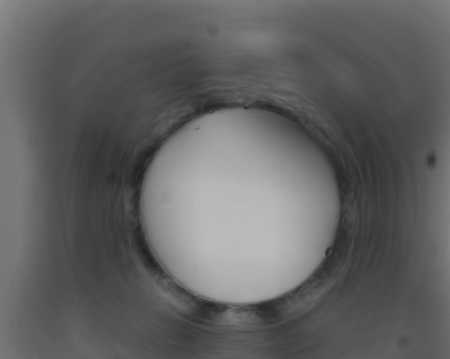X0000093510270200710121109