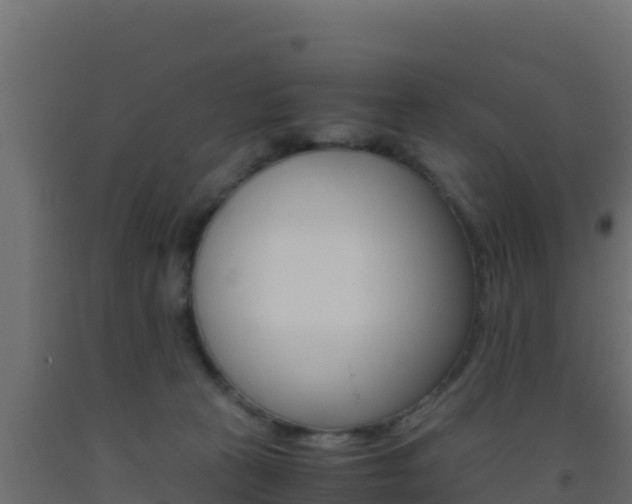 X0000093510273200710121109