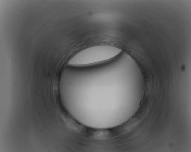 X0000093510274200710121109