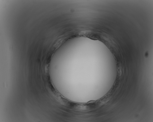 X0000093510276200710121109