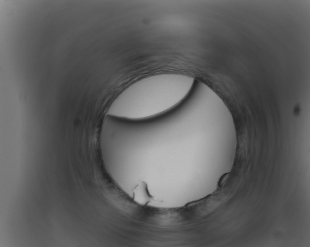 X0000093510278200710121109
