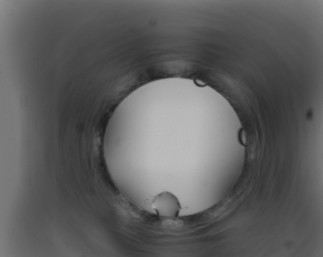 X0000093510279200710121109