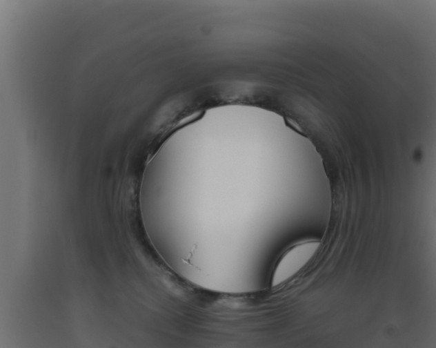 X0000093510280200710121109
