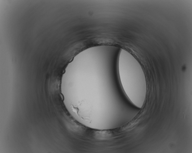X0000093510281200710121109