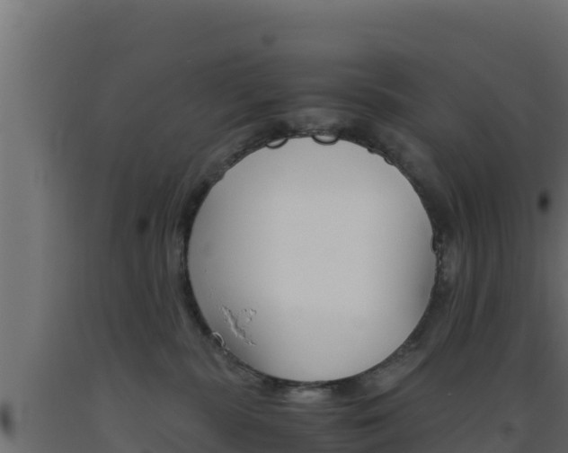 X0000093510283200710121109