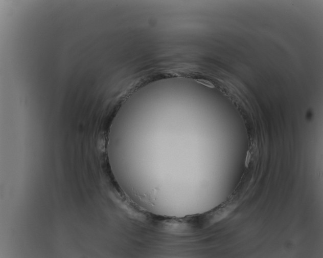 X0000093510284200710121109