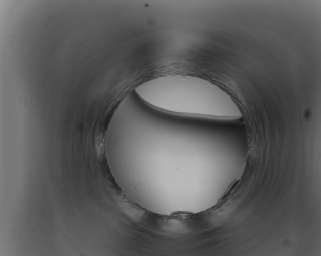 X0000093510285200710121109