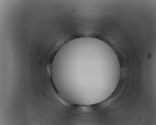 X0000093510286200710121109
